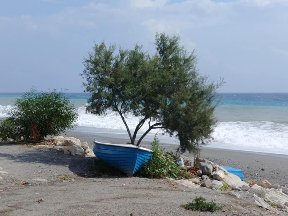 B&B Nereidi Melito Di Porto Salvo Zewnętrze zdjęcie